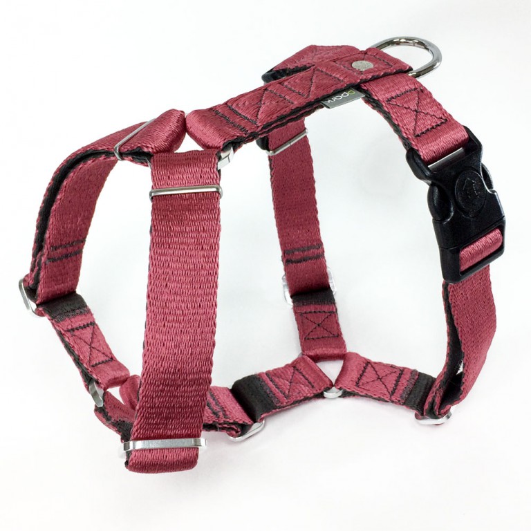 H harness dog top