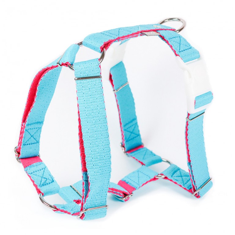 Aqua + Pink