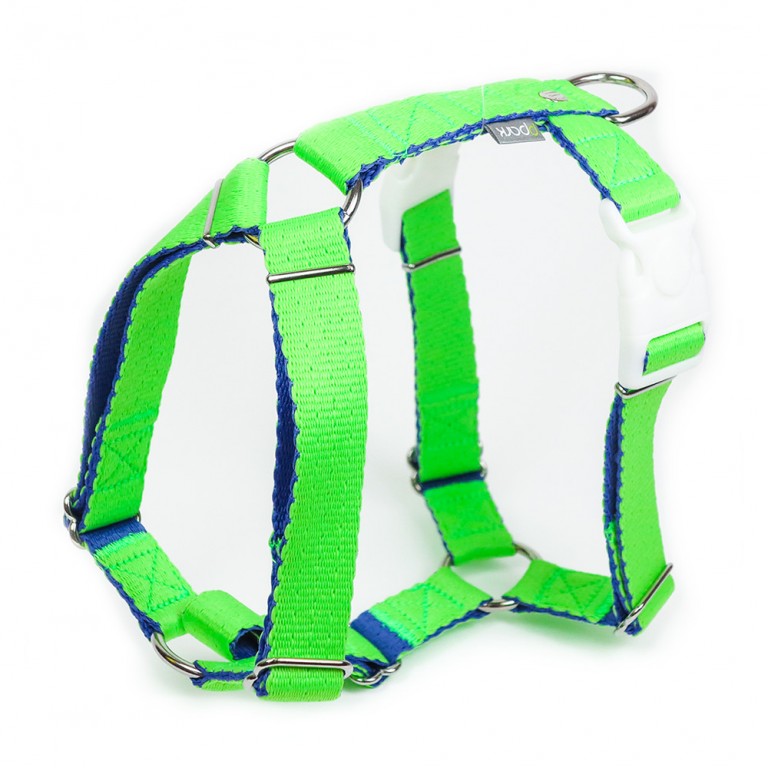 Lime + Navy