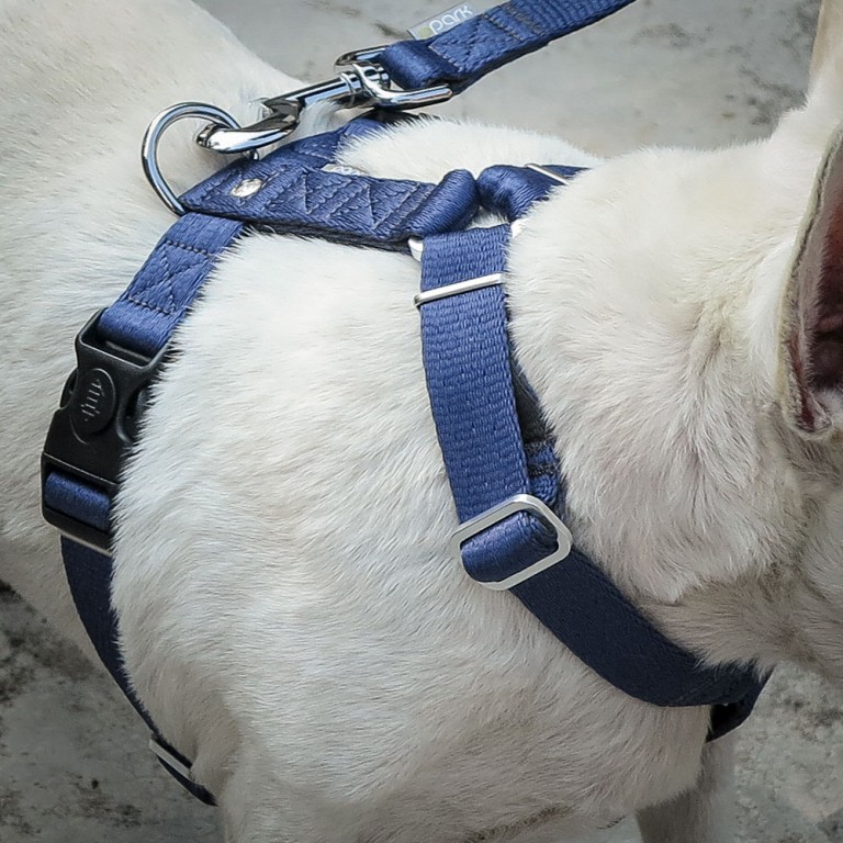 Bamboo dog harness cheap