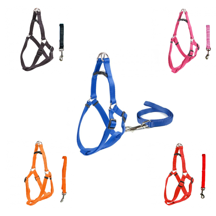 Puppy Harness Set