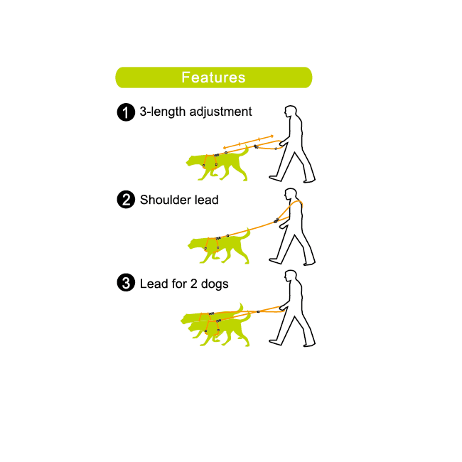 3-way Leash